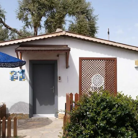 Maya Bistro & 4*