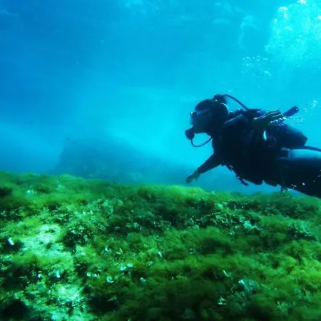 Maya Bistro & Hotel Siğacık