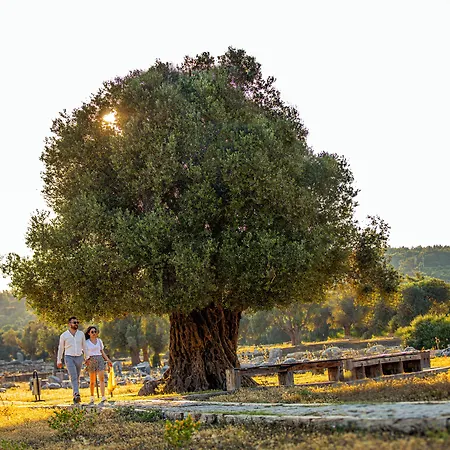 Maya Bistro & מלון 4*